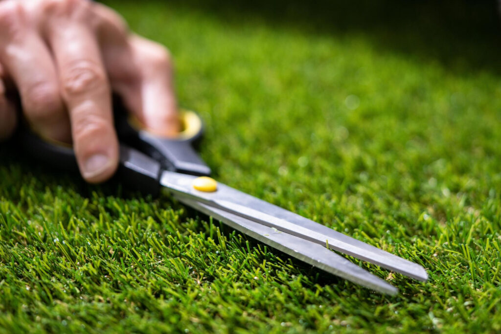 Scissors on artificial grass