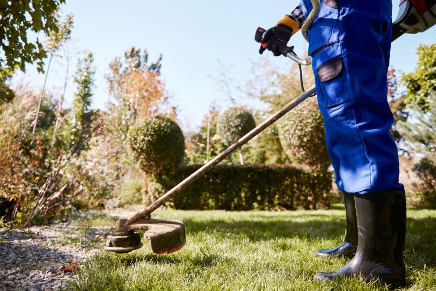Errores comunes en el mantenimiento de jardines